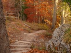 2013-10-25_Baumgartenscheidt (233).JPG